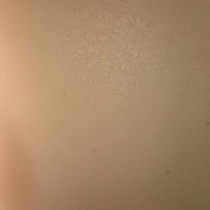 Meet your Posher, Alan